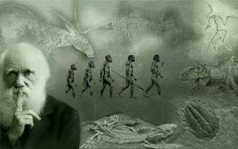Charles Darwin S Ideologies Essay Zone