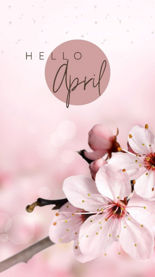 285501e81bf8568fb4fbfd3da4d7ff6d Wallpaper