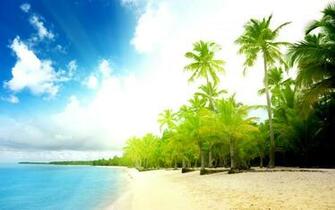 Summertime Wallpaper
