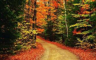 Desktop Wallpaper Fall Scenes