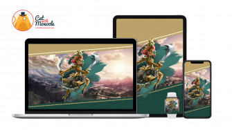 The Legend Of Zelda Tears Kingdom Riju Version