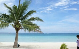 Color Christmas Beach Background Dream Containing Photo Full HD