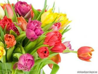 Flower Desktop Wallpaper Pc Beautiful