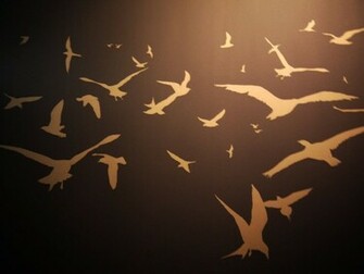 Bird Silhouette Wallpaper