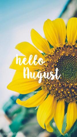 August iPhone Wallpaper Top Background