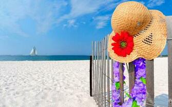 Summer Scenes Wallpaper Which Is Under The
