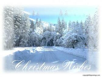 White Christmas Pictures Of