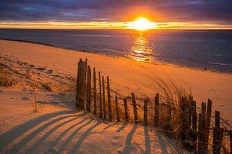 Cape Cod The Official Dapixara Photos