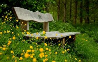 Wallpaper Greens Flowers Bench Green Background Widescreen