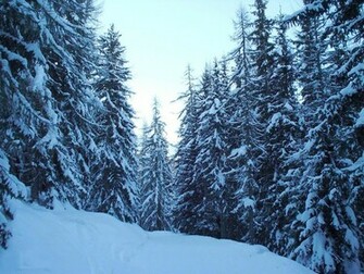 Winter Desktop Wallpaper In HD Love Communication