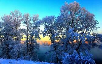 Snowy Sunset Wallpaper