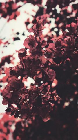 Gorgeous Happy Fall iPhone X Wallpaper Preppy