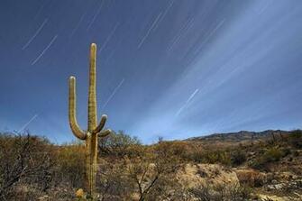 Saguaro National Park Tucson Arizona Wallpaper