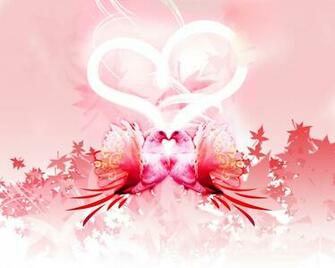 Valentine Cats Wallpaper Pets Car