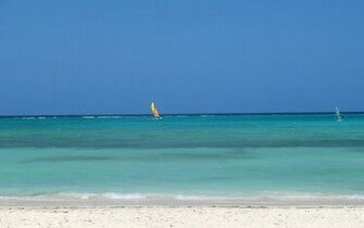 Sports Windsurfing Wallpaper