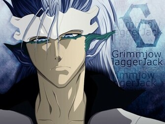 Cosplay Island Costume Misfit Grimmjow