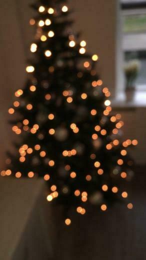 Mikayla On Christmas Season Tree Wallpaper