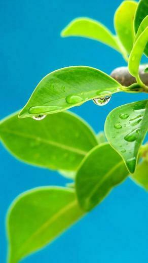 Elegant QHD Wallpaper For Lg G3 Enhancing Gracefulness Of Eye