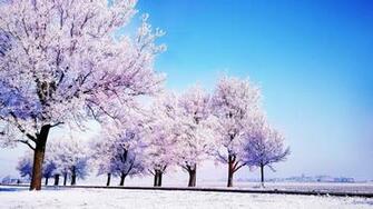 Winter Wallpaper For Computer Desktop Image In Collection