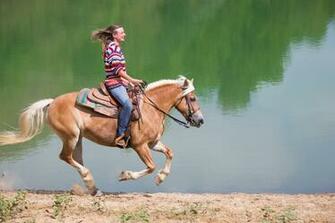 Horse Riding HD Wallpaper Background Image