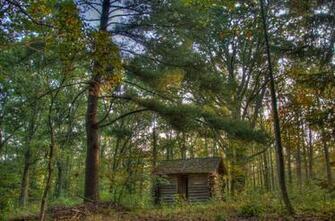 Uncuhnrorxi Aaaaaaaaaxe Ajraynj5zd8 S1600 Cabin In The Woods X3 Jpg