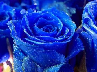 Il Blu Mio Colore Preferito Wallpaper