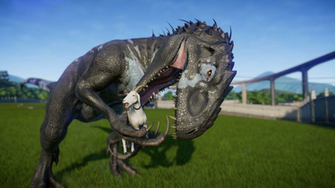 Dinosaur Tyrannosaurus Grass Velociraptor Terrestrial Animal