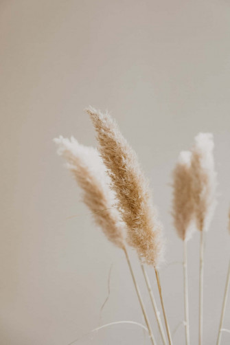 Neutral Colors Background Wallpaper