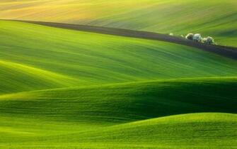 Spectacular Green Field Wallpaper