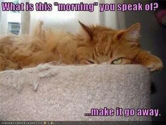 Funny Monday Morning Pictures