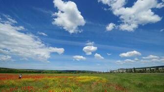 Crimea Flowers Desktop Wallpaper Picture X