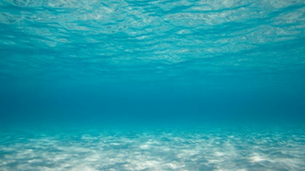 Alfa Img Showing Gt Ocean Floor HD Wallpaper