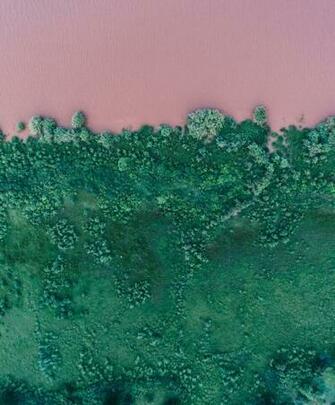 Pink River With Green Grass Bank HD Photo By Geran De Klerk