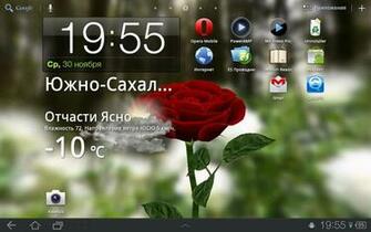 3d Rose Live Wallpaper V
