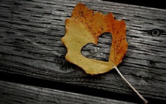 Love Autumn Wallpaper I Background