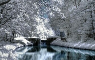 Jami Burch Winter Scene Wallpaper