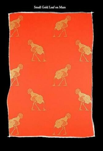 Ostrich Wallpaper From Beware The Moon If My Heart Was A House Thi