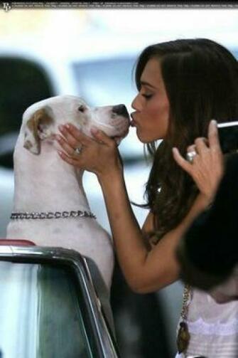 Photos Of Women Kissing Pets Andhramania Forum