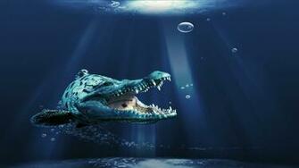 Animal HD Wallpaper Desktop Background