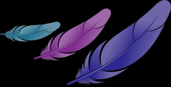 Bird Feather Png Fascinating Feathers