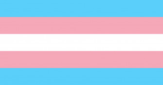 Trans Flag Wallpaper