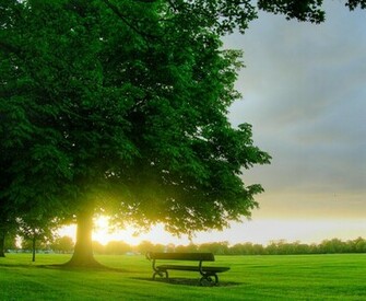 Nice Wallpaper For Natural