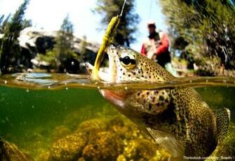 Orvis Fly Fishing Wallpaper Power