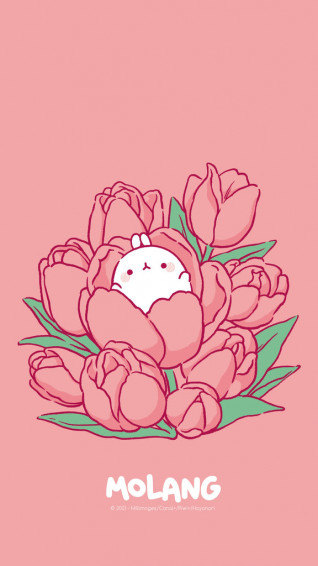 Molang Flower Wallpaper Discover The Peony Of