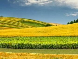 Wallpaper Nature Spring Desktop