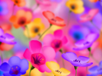 Beautiful Flower Wallpaper Image