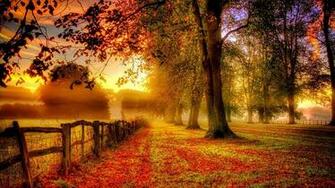 Autumn Wallpaper Background Image Creatives