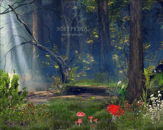Enchanted Forest Wallpaper Fresher Jobs