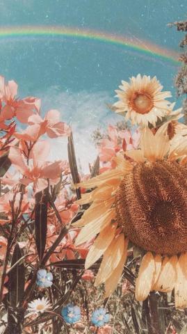 Aesthetic Boho Wallpaper HD Net