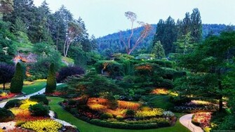 Nature Wallpaper